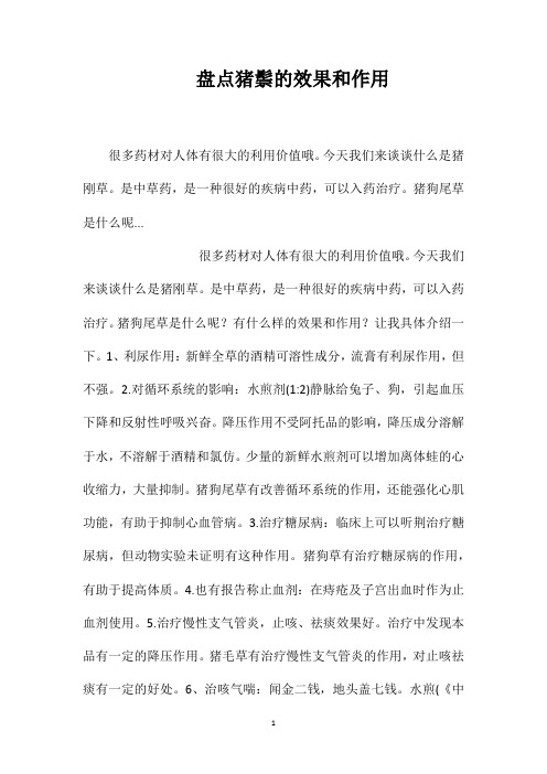 盘点猪鬃的效果和作用