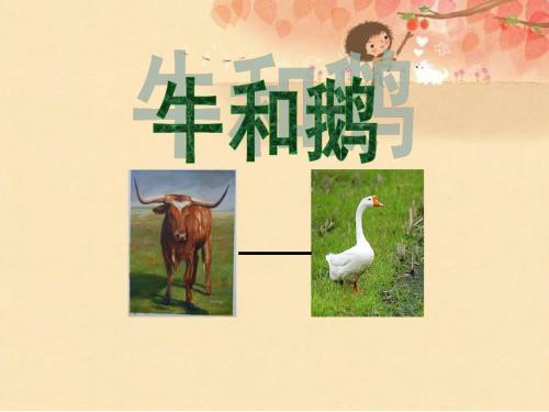 《牛和鹅》PPT精选教学课件3