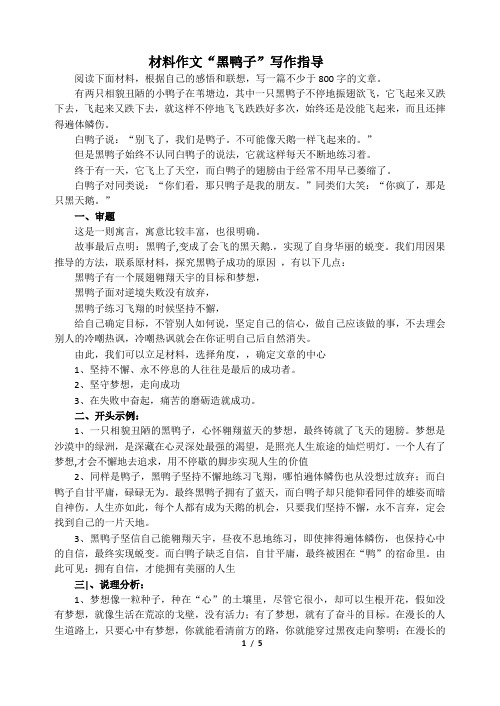 白鸭子黑鸭子材料作文