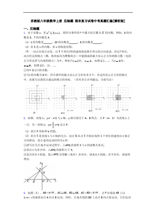 苏教版八年级数学上册 压轴题 期末复习试卷中考真题汇编[解析版]