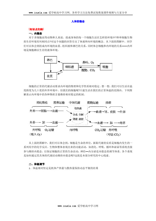 人体的稳态