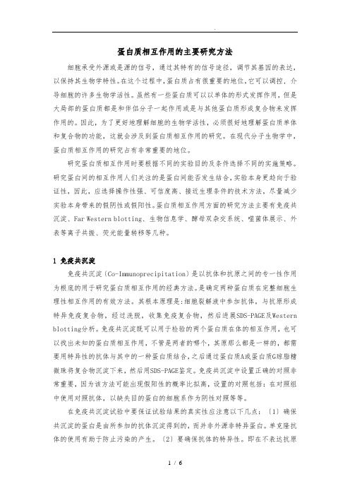 蛋白质相互作用的主要研究方法