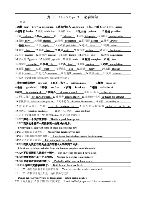 仁爱版英语九年级下册九 下  Unit 5 Topic 3   必背词句