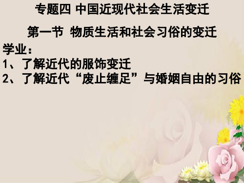 物质生活和社会习俗的变迁ppt11 人民版