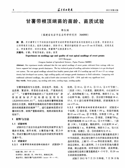 甘薯带根顶端苗的苗龄、苗质试验