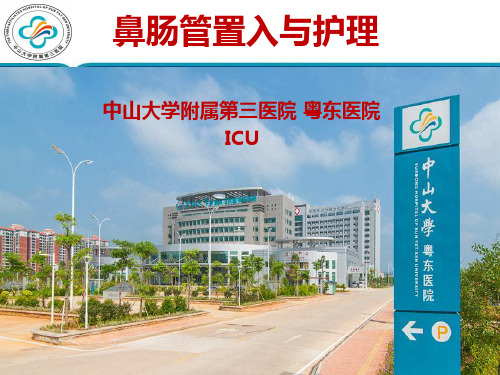 鼻肠管置入与护理