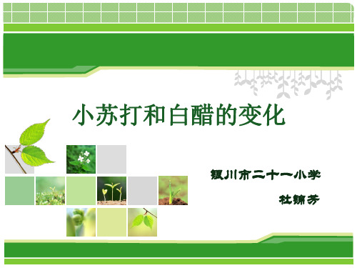 小苏打与白醋的变化说课