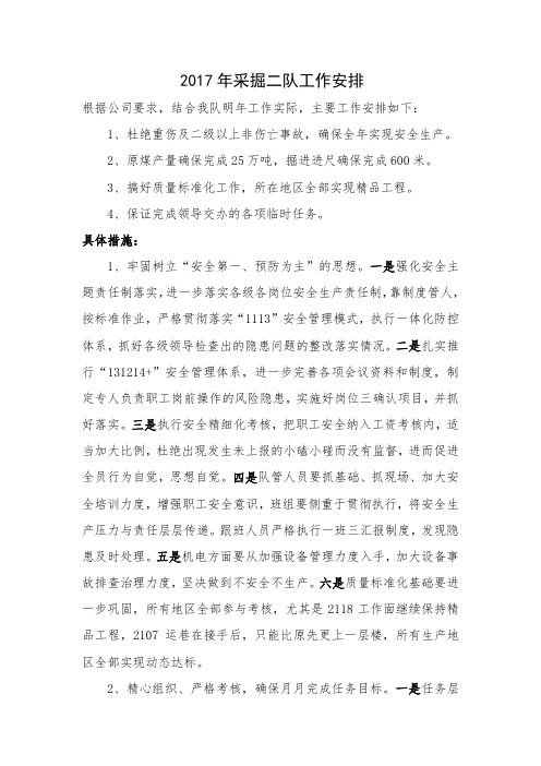 2017年工作安排