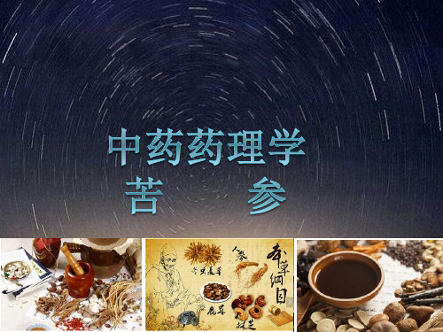 中药药理学苦    参  