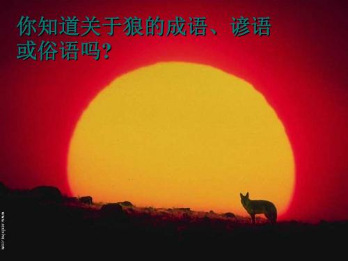 七年级语文上册 第五单元 专题《狼》课件 苏教版