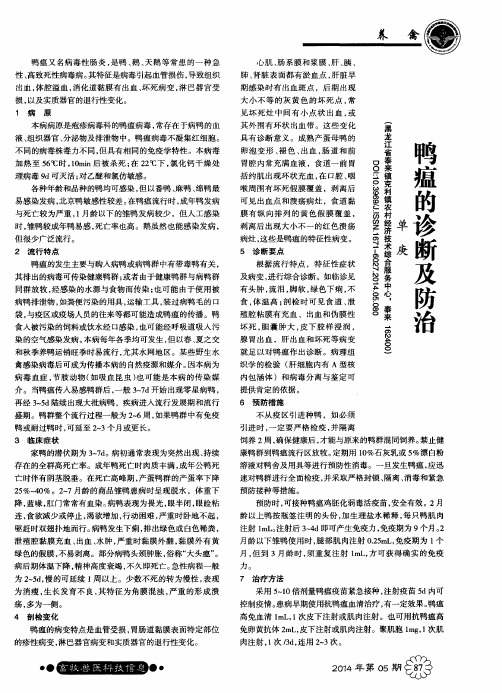 鸭瘟的诊断及防治