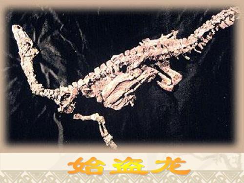 七年级语文《化石吟》优秀课件.ppt