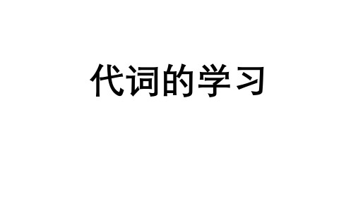 2024年人教版中考英语二轮专题复习 代词 课件(共31张PPT)