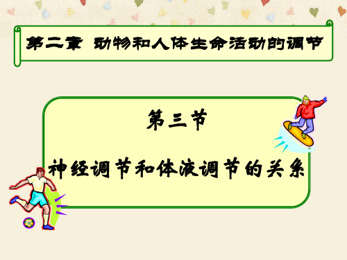 人教版高中生物必修三第2章第3节  神经调节和体液调节的关系  课件(共27张PPT)