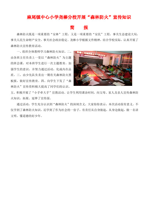 森林防火简报