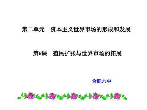 【全国百强校】安徽省合肥市第六中学高三历史必修二一轮复习课件：第二单元第6课 殖民扩张与世界市场的拓展