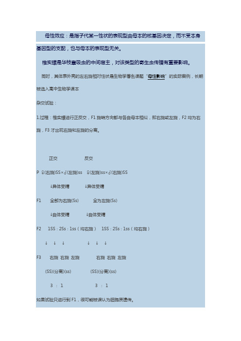 母性效应
