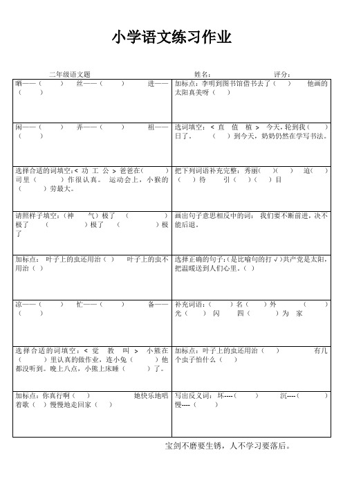 二年级语文随堂精选习题IV (11)