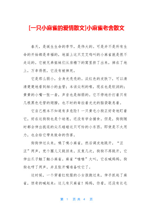 [一只小麻雀的爱情散文]小麻雀老舍散文