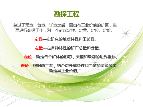 勘探线布置PPT课件