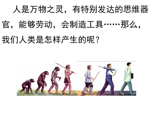 1.1 人类的起源和发展-人教版七年级下册生物课件(共22张PPT)