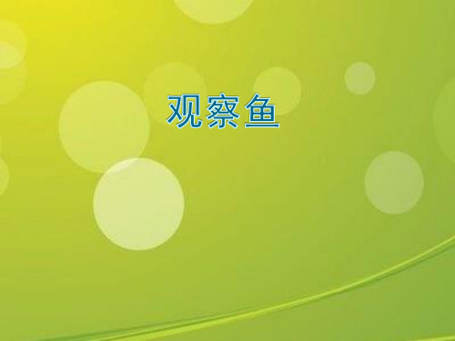 一年级科学下册《观察鱼》教学学习课件.ppt