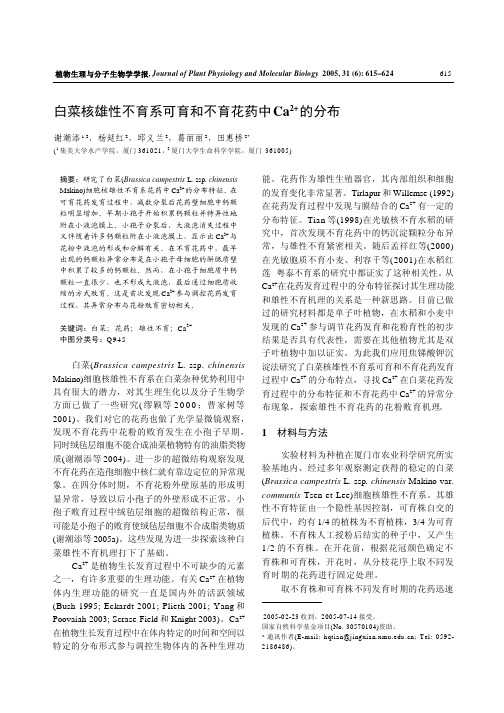 白菜核雄性不育系可育和不育花药中Ca2  的分布