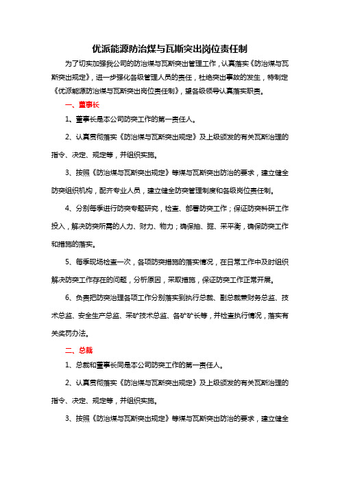 优派能源防治煤与瓦斯突出岗位责任制]