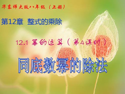 华东师大版数学八年级上册12.1.4幂的运算-同底数幂的除法