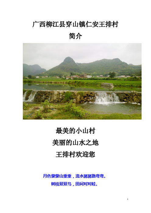 广西柳江县穿山镇仁安王排村