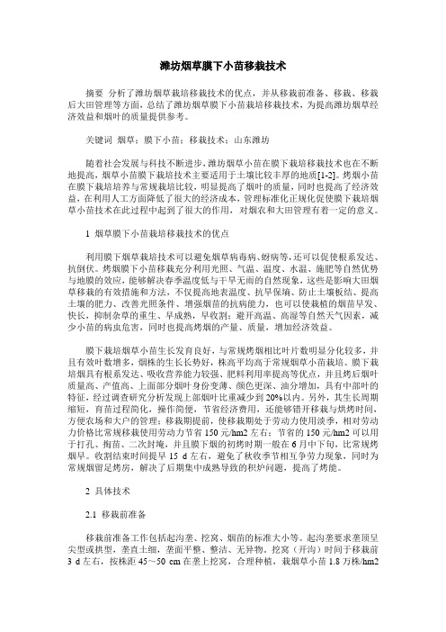 潍坊烟草膜下小苗移栽技术
