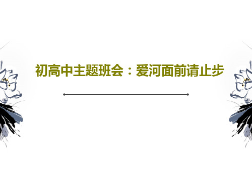 初高中主题班会：爱河面前请止步共34页文档