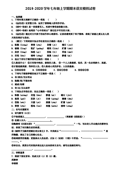 山东省临沂市2019-2020学年七上语文期末检测试题