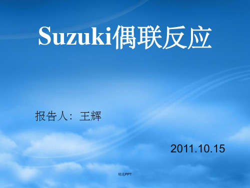《suzuki反应》PPT课件