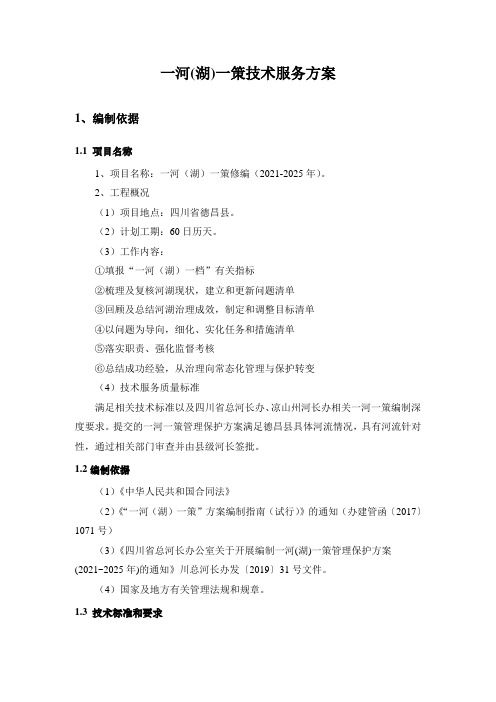 一河(湖)一策技术服务方案