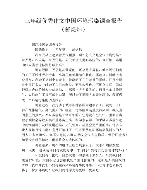 三年级优秀作文中国环境污染调查报告(舒煜炜)