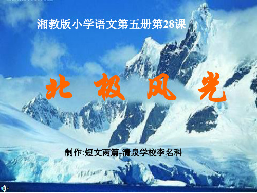 三年级语文北极风光(中学课件201911)