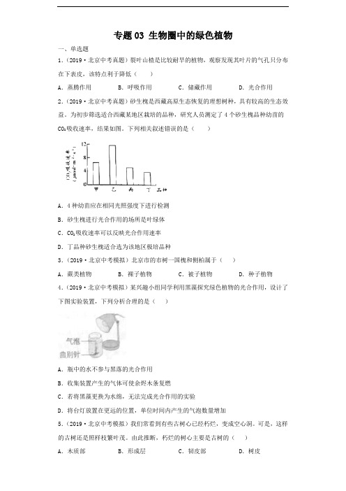 专题03 生物圈中的绿色植物-备战2020年中考生物试题分类汇编(北京市)(原卷版)