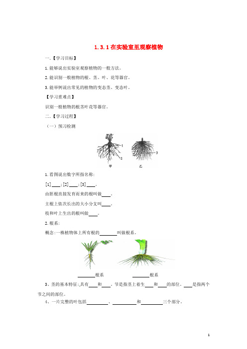 七年级生物上册1.3.1在实验室里观察植物导学案(新版)冀教版