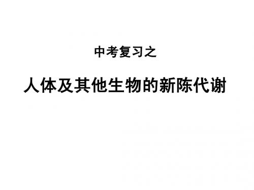 人体及其他生物的新陈代谢(2课时)