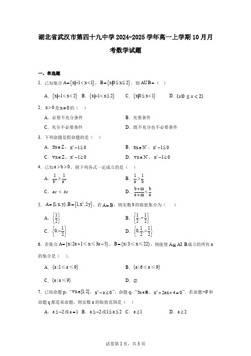 湖北省武汉市第四十九中学2024-2025学年高一上学期10月月考数学试题