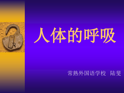 人体的呼吸初中生物课件