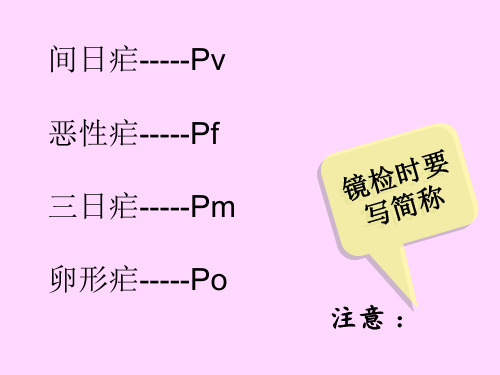 四种疟原虫镜下图