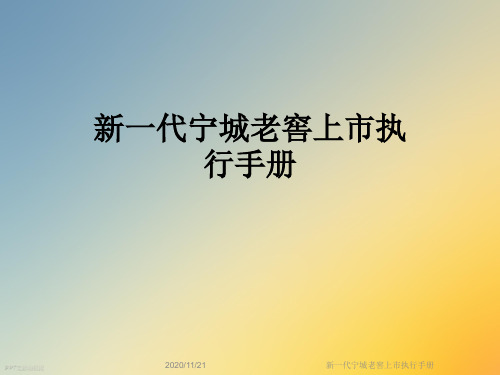新一代宁城老窖上市执行手册