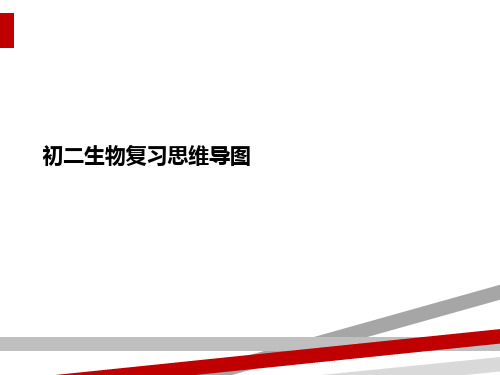 初二生物复习思维导图