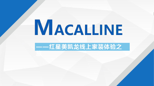 红星美凯龙之线上家装体验之旅_策划资料_品牌营销案例_201801_ppt可编辑版