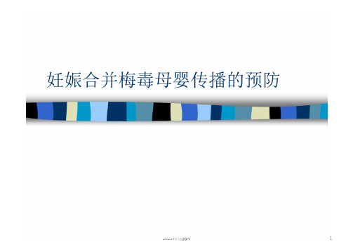 梅毒ppt课件 (2)