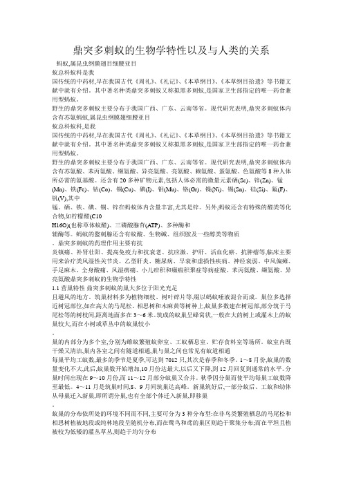 蚂蚁