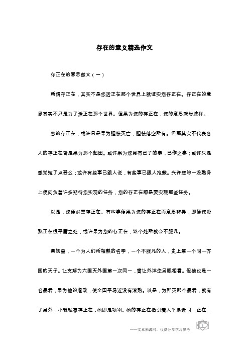 存在的意义精选作文