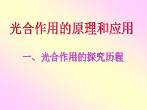 光合作用的原理和应用